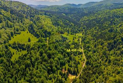 Teren de 14400 mp, în Cheile Râșnoavei - 3