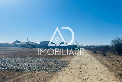 Teren Construcții extravilan de 300 mp, în Narciselor - 2