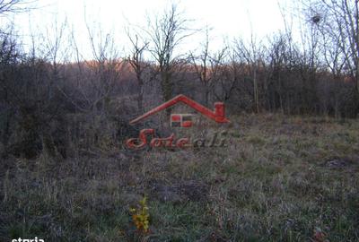 Teren de 2313 mp, în Central