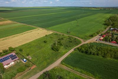 FRUMUSANI - POSTAVARI, TEREN 1500 MP, FRONT 30 M ! - 28