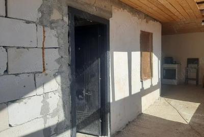 Casă cu 1 camere cu Teren 1000 Mp în Ciurea - 2