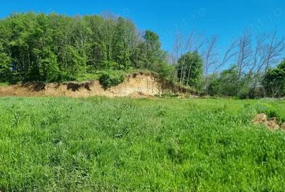 Vand teren intravilan, Bascov, 500 mp, Arges - 3