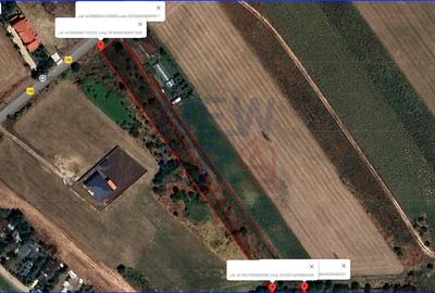 Teren Construcții intravilan de 4900 mp, în Crevedia - 3