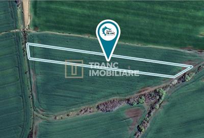 Teren agricol extravilan de 11400 mp, în Zimandu Nou - 1