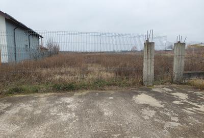 Aer curat Aproape de Targoviste - 2