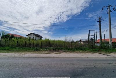 Teren Intravilan 5169 MP Tartasesti Deschidere 46 m DN7 Utilitati 2 Cai Acces - 1