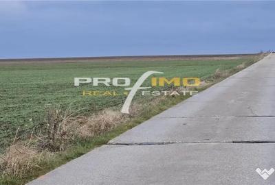 Teren de 4200 mp, în Corbu - 7