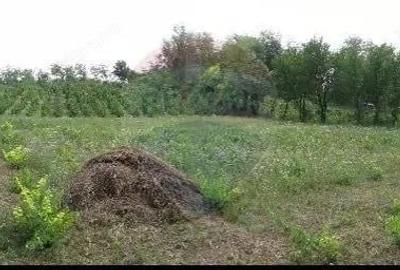 Teren 6,890mp Crasna / Strada Crasna - 4