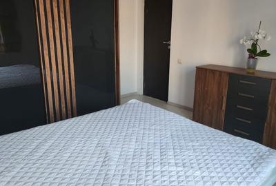 Apartament cu 2 camere semidecomandat în Gorjului - 4