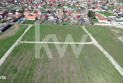 Spațiu comercial, în Hălchiu - 5