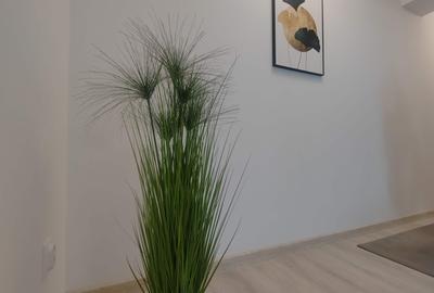 Apartament cu 2 camere semidecomandat, mobilat în Copou - 7