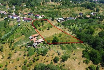 Teren de vanzare in comuna Cicane?ti, sat Bara?ti, jude? Arge?. - 7