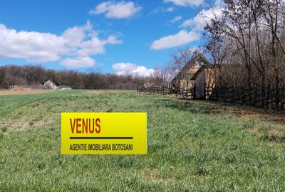 Teren Construcții intravilan de 1800 mp, în Baisa - 1