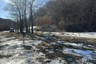 Spațiu comercial, în Cuejdiu - 3