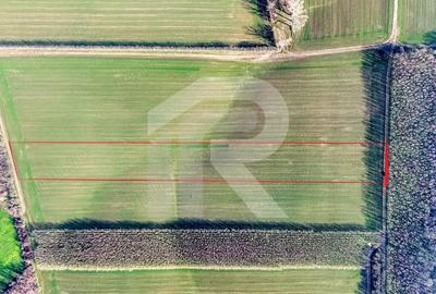 Teren langa Manastirea Sfantul Nicolae Sitaru - 9