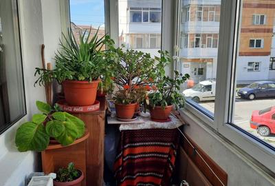 Apartament cu 3 camere decomandat în Central - 8