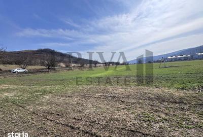 Teren de 160000 mp, în Bengești - 2
