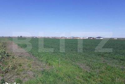 Teren de 30000 mp, în Sânandrei - 3