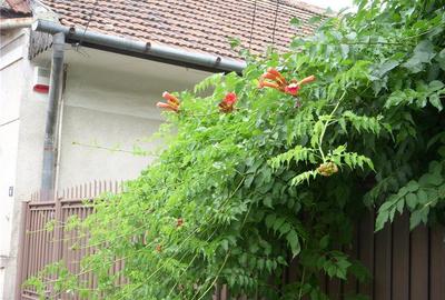 Casă cu 4 camere în Semicentral - 2