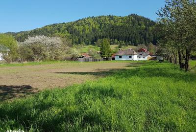 Teren de 1400 mp, în Lunca - 15