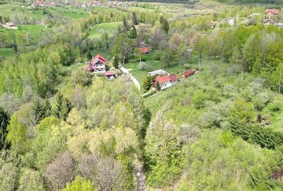 Teren intravilan Bran- Predelut - 21