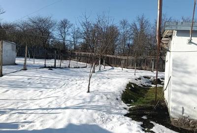 Casă cu 2 camere în Țichindeal - 7