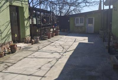 Casă cu 3 camere cu Teren 1326 Mp în Șagu - 1