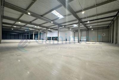 Spațiu industrial, 6606 mp în Centura