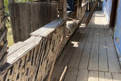 Vand Casa Tradi?ionala cu ?ura - 2