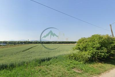 Teren de vanzare Stupini Brasov - oportunitate de investitie - 4