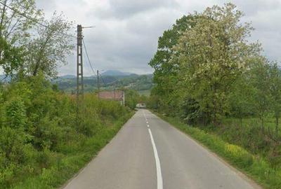 Teren de vanzare in Meziad. - 3