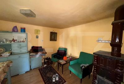 Casa in Bacia - teren generos 6.557 mp, ideal pentru investitie! - 9