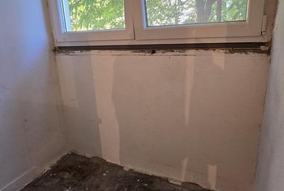 Berceni, Emil Racovita - 5