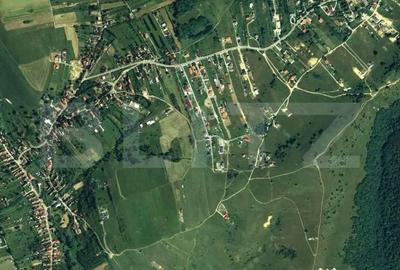 Teren de 6000 mp, în Sălicea - 1