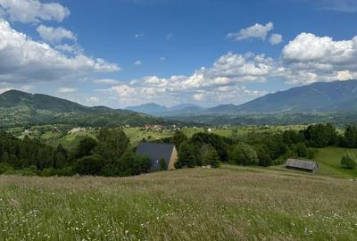 Teren inconjurat de natura de vanzare in Pestera - 2
