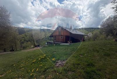 Casă cu 14 camere cu Teren 62330 Mp în Horea - 39