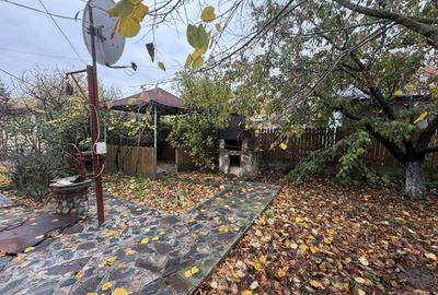 Casa cu livada Izvorani la 300m de Lacul Snagov asfalt si utilitati - 9