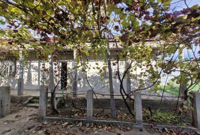 Casă cu 3 camere în Bucești - 3