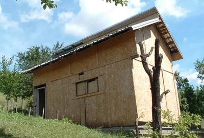 Casă cu 1 camere cu Teren 5000 Mp în Drajna - 2