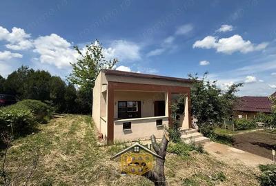 Oferta 2 case la pret de una in Ghercesti Ideal pentru 2 familii - 18