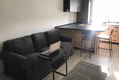 Apartament cu 2 camere decomandat, mobilat în Apărătorii Patriei - 3