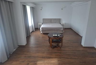 Inchiriez Vila 5 camere in Padurea Snagov, Silistea Snagovului / Pet Friendly - 5