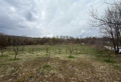 Spațiu comercial, în Bărbulețu - 3