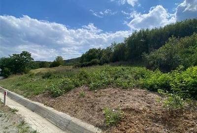 RECO Teren Extravilan Bratesti - 1