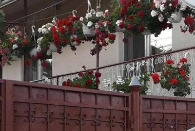 Casă cu 3 camere cu Teren 100 Mp în Gălești - 6