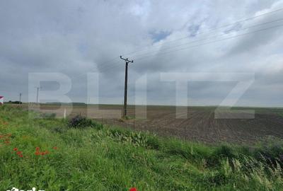Teren de 390000 mp, în Iosefin - 14