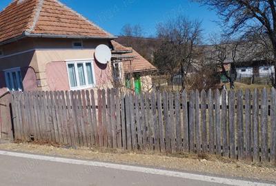 Casă cu Teren 2414 Mp în Voșlăbeni - 2