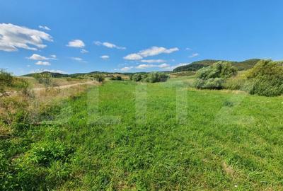 Teren intravilan, 31 de ari in Livezile - 5