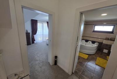 Casa  moderna mobilata cu beci 165mp +3000mp teren Cotnari - 28