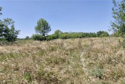 RECO Teren intravilan in Madaras-Ianosda 1420mp - 1